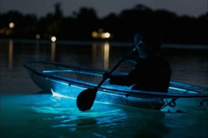 Vieques: Iltakierros läpinäkyvällä kajakilla bioluminesoivassa lahdessa