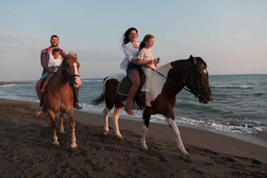 Vieques: Black Sand Beach Horseback Riding Tour
