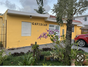 Gavidias GuesHouse