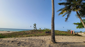 Guzman Profesional Beach Volleyball Club
