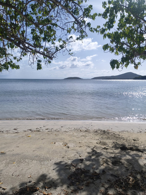 Jimmy's beach