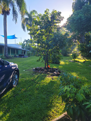 La Casa de Vida Natural