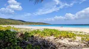 Panorámica de la playa flamenco