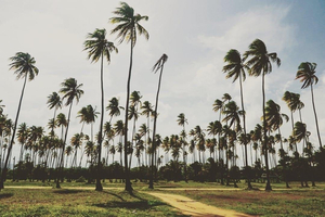 Playa Lucia Disc Golf