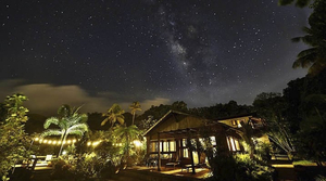 Rainforest Inn
