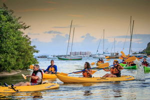 Immerse in Nature: Exploring Puerto Rico's Wildlife Sanctuaries