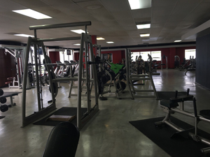 The Wellness Club Fitness and Spa
