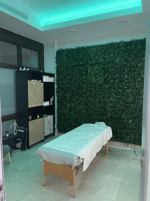 Vida Wellness Puerto Rico