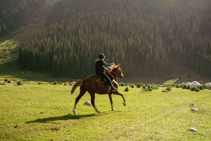 Mountain Trail Horseback Discovery Ride