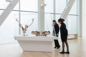 Quebec City: MNBAQ Nationales Museum der Schönen Künste Eintrittskarte