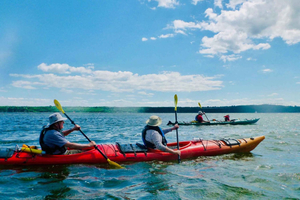 Québec : Excursion en kayak de mer à l'île d'Orléans