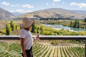 Tour di mezza giornata delle cantine di charme e pranzo al piatto in stile vignaiolo