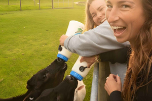 From Queenstown: Coach, Farm Tour & Milford Nature Cruise