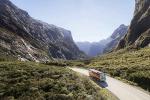 Fra Queenstown: Milford Sound-buss, cruise, naturskjønn flyvning