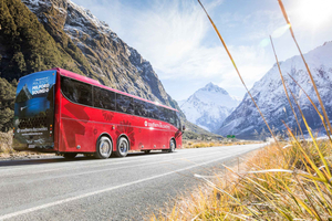 Fra Queenstown: Milford Sound dagstur med premium buss