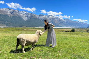 Glenorchy: gita privata di 1 giorno da Queenstown con soste panoramiche