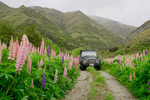 Macetown: Goldener Kulturerbe-Geländewagen-Tagestour ab Queenstown