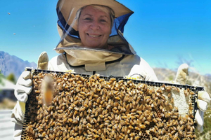 Meet the Bees and Manuka Honey Tasting Tour