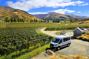 Queenstown: Tour del vino di Central Otago