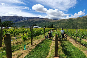Queenstown: Guided E-Bike Tour with Winery Visits & Tastings