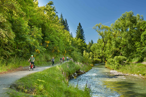 Queenstown: Halvdags guidet elsykkel- og vintur