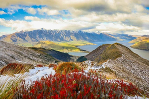 QUEENSTOWN: Privé enkele reis luchthaventransfer van/naar CBD Hotels