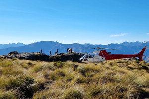 Queenstown: Naturskjønn alpin helikoptertur