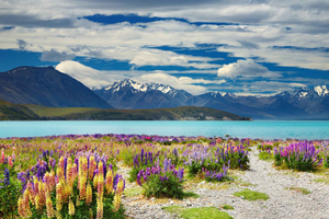 Queenstown to Lake Tekapo Private Scenic Transfer