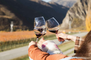 Queenstown: Tur med vinsmaking