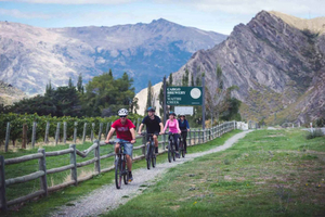 Arrowtown and Gibbston Valley: Self-Guided Bike Tour