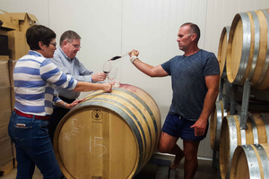  Boutique Wine Tour in Central Otago Wine Region