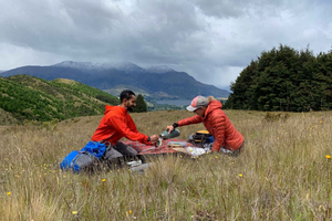  Half Day Hike with Local Guides and Lunch