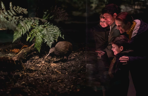Kiwi Park