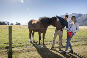 Lake Wakatipu: Cruise & Mt Nicholas Farm Experience