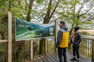 Milford Sound Experience - Altitude Tours