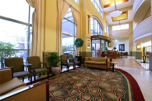 Millennium Hotel 