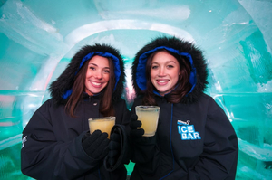 Minus 5º Ice Bar