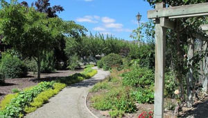 Pioneer Park