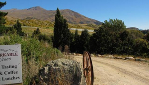 Remarkable Wines