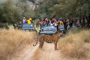 Delhi : Circuit de 8 jours du Triangle d'Or avec Udaipur et Ranthambore