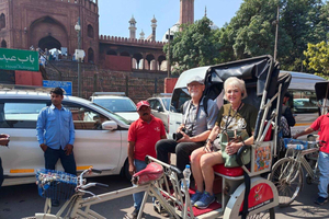 Delhi: Private Old & New Delhi Guided City Tour with Options