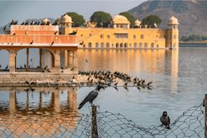 Au départ de Delhi : excursion de 3 jours à Agra, Fatehpur Sikri et Jaipur