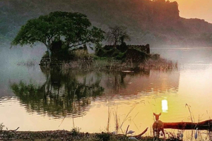 Depuis Delhi : safari dans la réserve de Ranthambore avec transferts