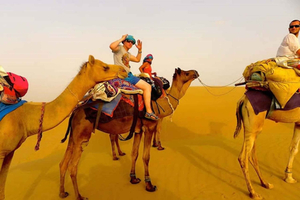 Depuis Jaipur : Excursion Privée d'une Journée à Ajmer et Pushkar