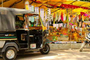Jaipur: Amber Fort, Stepwell & Jal Mahal with Pickup