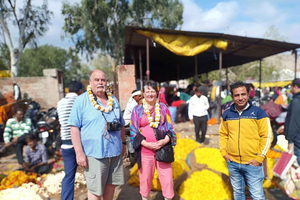 Jaipur : visite guidée des sites patrimoniaux de la ville et du fort d'Amber