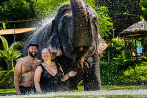 Jaipur: Time Spend with Elephant, Shower, Feed & Ride Tour