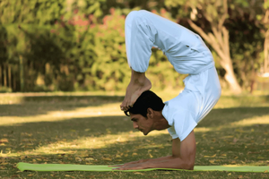 Jaipur: Experiencia de yoga tradicional indio