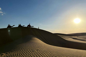 Jaisalmer: Excursión en jeep, safari en camello, dormir en el desierto