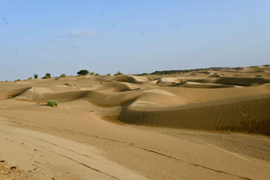 Jaisalmer : excursion au coucher du soleil dans les dunes de sable de Sam avec balade à dos de chameau